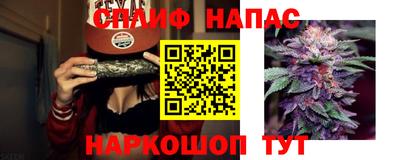 сатива Славгород